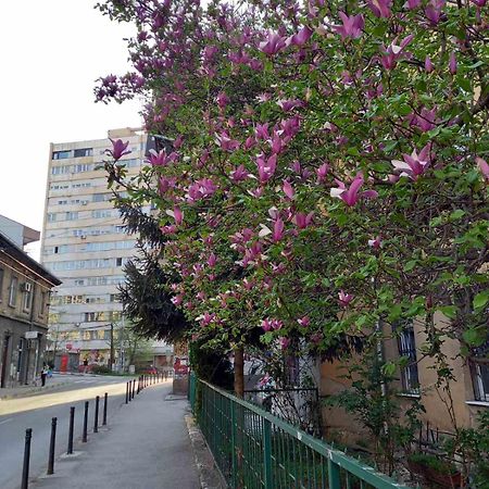 Hansa Apartment Sarajevo Exterior photo